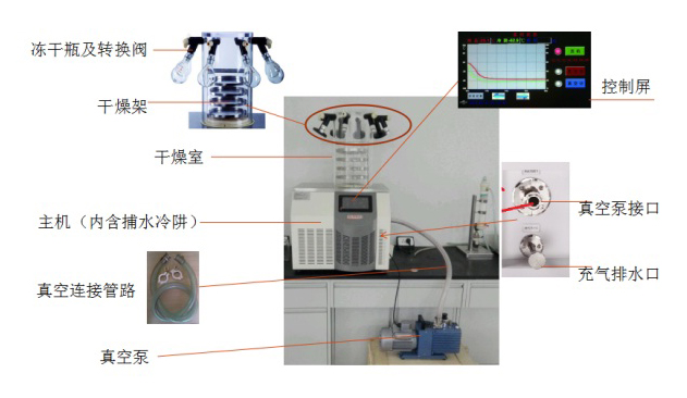 CTFD-10实验室系列冻干机